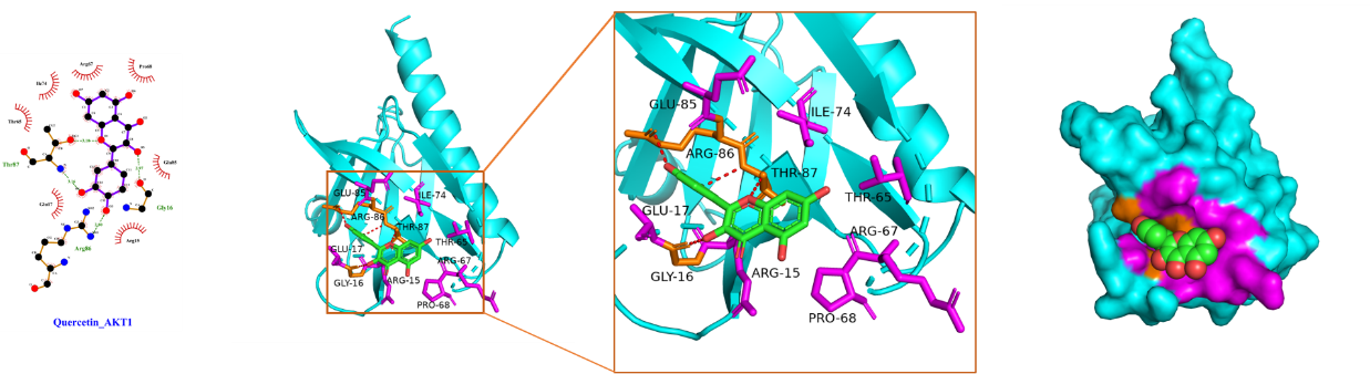 Figure 8b