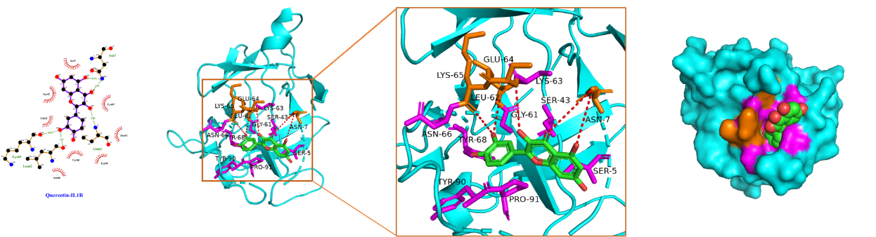 Figure 8c